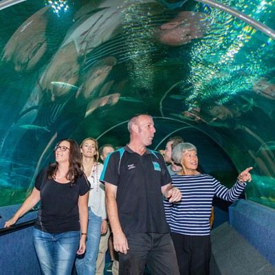 Aquarium 