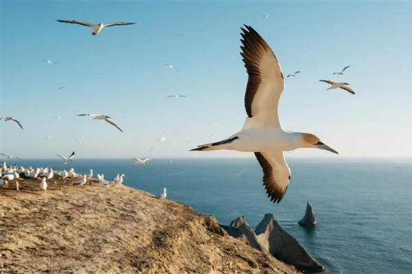 Gannet Safaris Overland